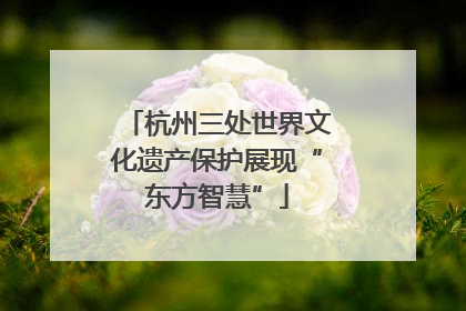 杭州三处世界文化遗产保护展现“东方智慧”