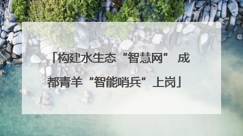 构建水生态“智慧网” 成都青羊“智能哨兵”上岗