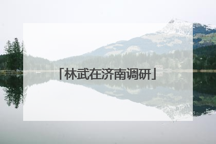 林武在济南调研
