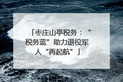 枣庄山亭税务：“税务蓝”助力退役军人“再起航”