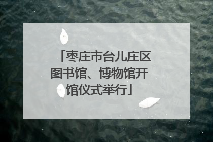 枣庄市台儿庄区图书馆、博物馆开馆仪式举行