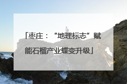 枣庄：“地理标志”赋能石榴产业蝶变升级