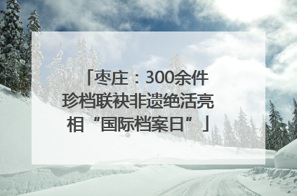 枣庄：300余件珍档联袂非遗绝活亮相“国际档案日”