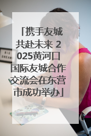 携手友城 共赴未来 2025黄河口国际友城合作交流会在东营市成功举办