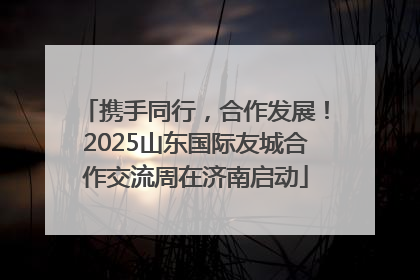 携手同行，合作发展！2025山东国际友城合作交流周在济南启动