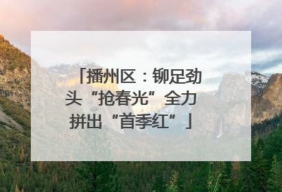 播州区：铆足劲头“抢春光”全力拼出“首季红”