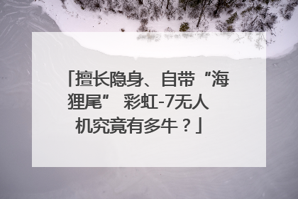 擅长隐身、自带“海狸尾” 彩虹-7无人机究竟有多牛？