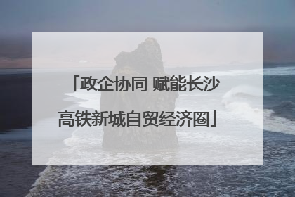 政企协同 赋能长沙高铁新城自贸经济圈