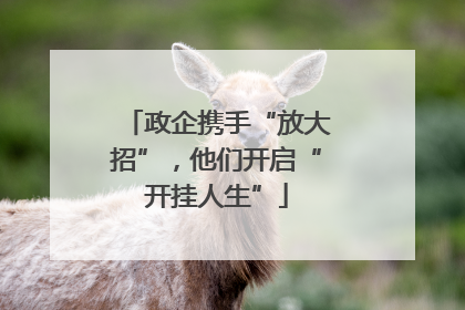 政企携手“放大招”，他们开启“开挂人生”