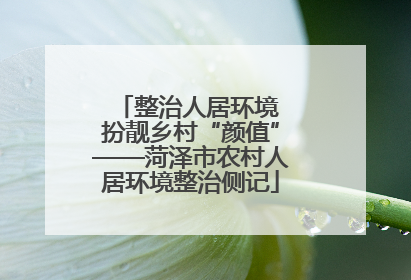 整治人居环境 扮靓乡村“颜值”——菏泽市农村人居环境整治侧记