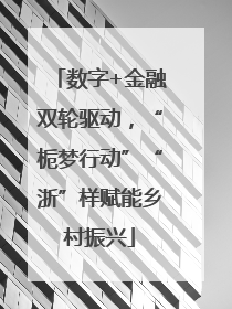 数字+金融双轮驱动，“栀梦行动”“浙”样赋能乡村振兴
