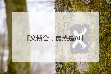 文博会，最热是AI