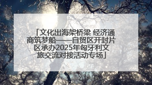 文化出海架桥梁 经济通商筑梦船——自贸区开封片区承办2025年匈牙利文旅交流对接活动专场
