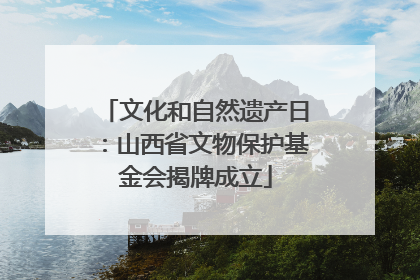 文化和自然遗产日：山西省文物保护基金会揭牌成立