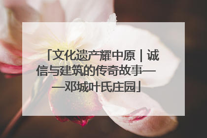 文化遗产耀中原｜诚信与建筑的传奇故事——邓城叶氏庄园