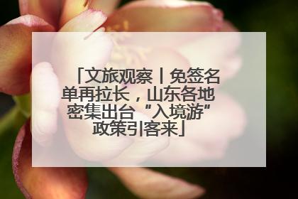 文旅观察丨免签名单再拉长，山东各地密集出台“入境游”政策引客来