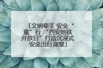 文明牵手 安全“童”行 “西安地铁开放日”打造沉浸式安全出行课堂