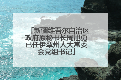新疆维吾尔自治区政府原秘书长周旭勇已任伊犁州人大常委会党组书记