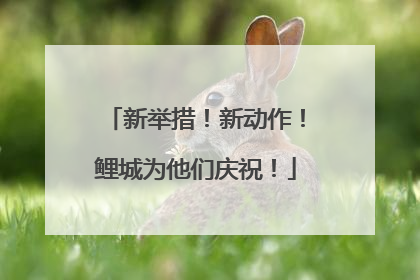 新举措！新动作！鲤城为他们庆祝！