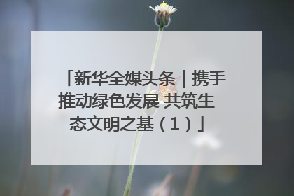 新华全媒头条｜携手推动绿色发展 共筑生态文明之基（1）