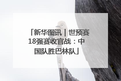 新华图讯｜世预赛18强赛收官战：中国队胜巴林队