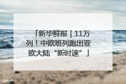 新华鲜报｜11万列！中欧班列跑出亚欧大陆“新时速”