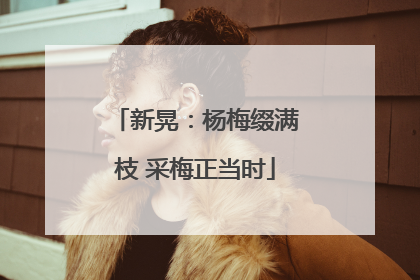 新晃：杨梅缀满枝 采梅正当时