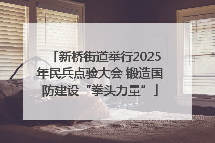 新桥街道举行2025年民兵点验大会 锻造国防建设“拳头力量”