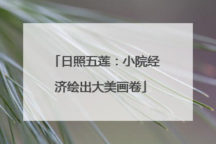 日照五莲：小院经济绘出大美画卷