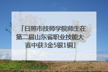 日照市技师学院师生在第二届山东省职业技能大赛中获3金5银1铜