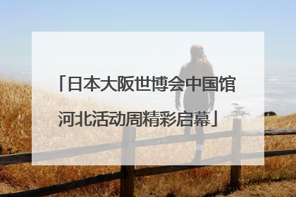 日本大阪世博会中国馆河北活动周精彩启幕