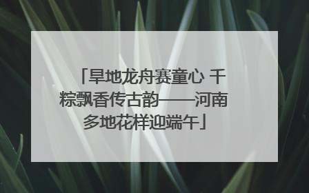 旱地龙舟赛童心 千粽飘香传古韵——河南多地花样迎端午