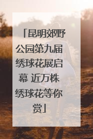 昆明郊野公园第九届绣球花展启幕 近万株绣球花等你赏
