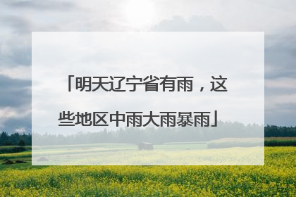明天辽宁省有雨，这些地区中雨大雨暴雨