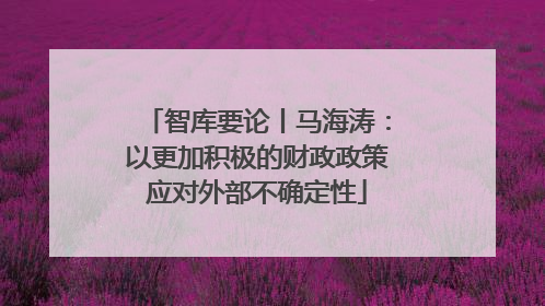 智库要论丨马海涛：以更加积极的财政政策应对外部不确定性