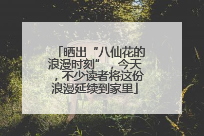 晒出“八仙花的浪漫时刻”，今天，不少读者将这份浪漫延续到家里