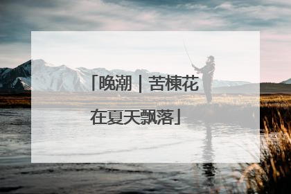 晚潮｜苦楝花在夏天飘落