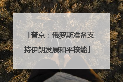 普京：俄罗斯准备支持伊朗发展和平核能