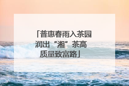 普惠春雨入茶园 润出“湘”茶高质量致富路