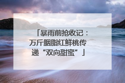 暴雨前抢收记：万斤胭脂红鲜桃传递“双向甜蜜”