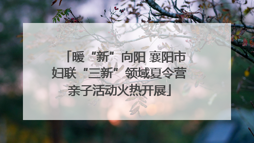 暖“新”向阳 襄阳市妇联“三新”领域夏令营亲子活动火热开展