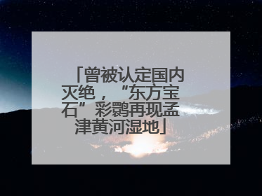 曾被认定国内灭绝，“东方宝石”彩鹮再现孟津黄河湿地