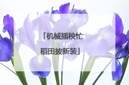 机械插秧忙 稻田披新装