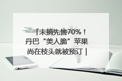 未摘先售70%！丹巴“美人脆”苹果尚在枝头就被预订｜长征路上看四川
