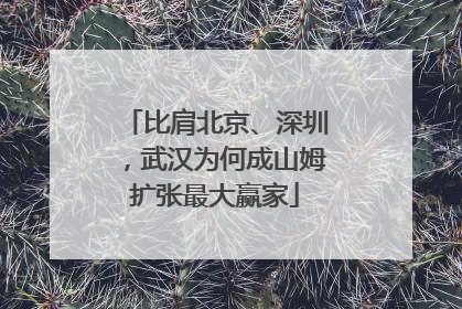比肩北京、深圳，武汉为何成山姆扩张最大赢家