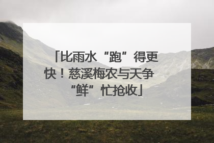 比雨水“跑”得更快！慈溪梅农与天争“鲜”忙抢收