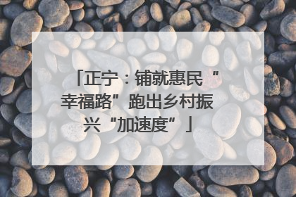 正宁：铺就惠民“幸福路”跑出乡村振兴“加速度”