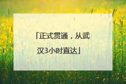 正式贯通，从武汉3小时直达