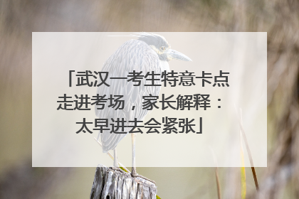 武汉一考生特意卡点走进考场，家长解释：太早进去会紧张