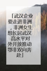 武汉企业要走进非洲，非洲女生想长居武汉 高水平对外开放推动鄂非双向奔赴